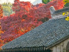 -惠山古镇·寄畅园