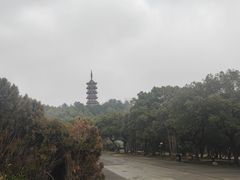 -天下玉苑