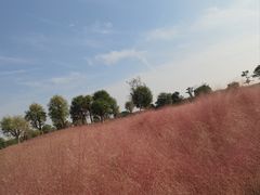 -汉长安城未央宫国家考古遗址公园