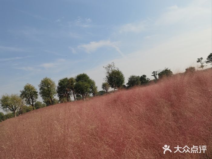 汉长安城未央宫国家考古遗址公园图片