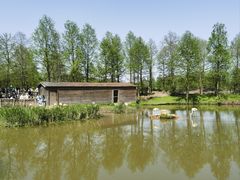 -宁波杭州湾国家湿地公园