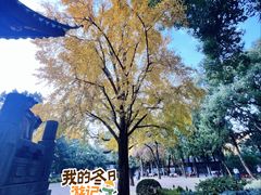 -汇龙潭