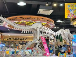 -卡通尼·Safari非洲探索乐园·生日会(金桥国际商业广场店)