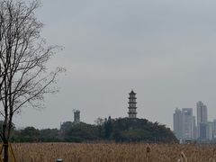 -江心屿景区