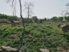 -合肥野生动物园