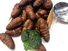 -万龙洲海鲜(大兴绿地缤纷城店)