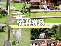 -龙岩森林水乡景区