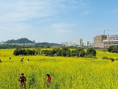 -光明小镇欢乐田园