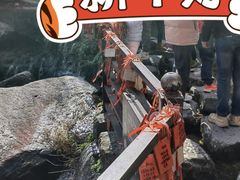 -苍山感通索道