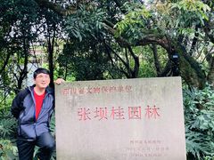 -张坝桂圆林公园