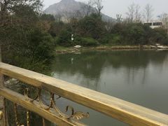 -桃花岛景观公园