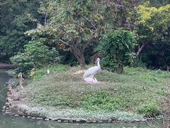 -广州长隆飞鸟乐园