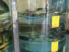 -蜀滋香鲜鱼美蛙火锅(339店)
