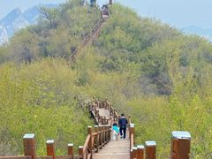 -大岭沟猕猴桃谷风景区
