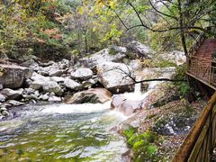 -青峰峡国家森林公园