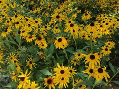 -森林公园(尖草坪区)