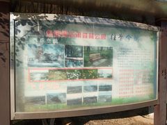 -永定河休闲森林公园