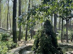 -林间山庄