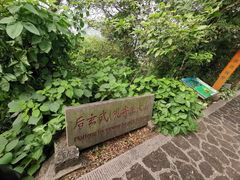 -海口火山口国家地质公园