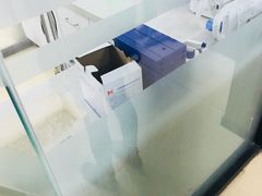 -瑞派雷欧宠物医院·中兽医·眼科·急重症转诊中心(黄台店)