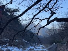 -崂山九水游览区