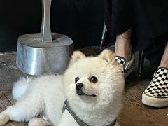 -小巨场咖啡