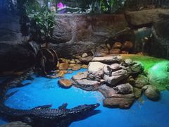 -多彩贵州城极地海洋世界