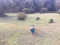 -天赐温泉
