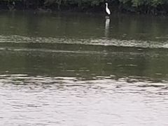 -大亚湾红树林城市湿地公园