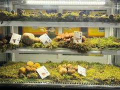 -滇野云南野生菌餐厅(陕西南路店)