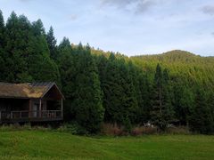 -武陵山森林公园