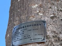 -巍山古城-拱辰楼