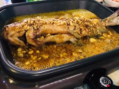 -川渝窈妹纸包鱼·齐齐哈尔烤肉