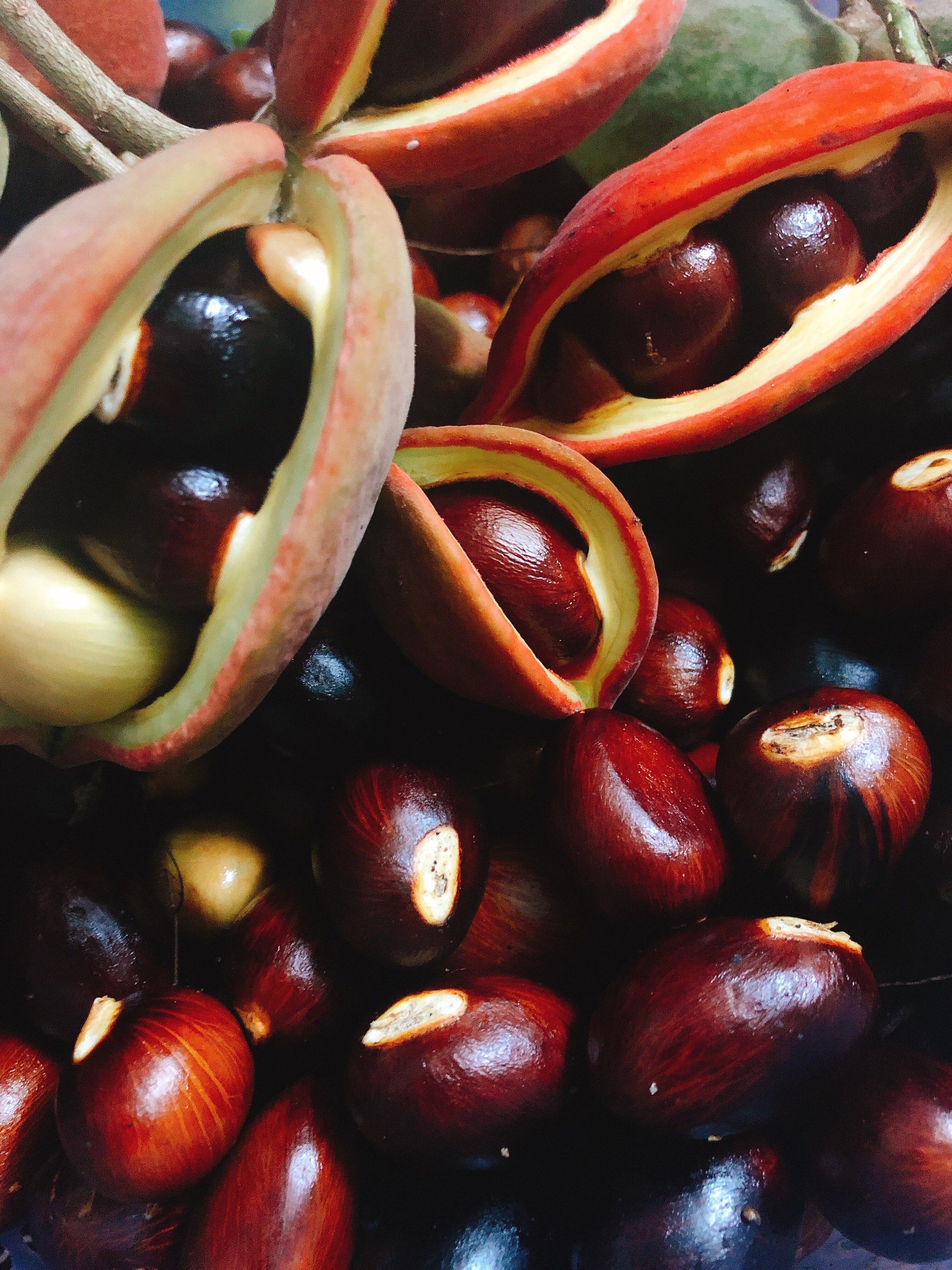 夏天到了,凤眼果你吃了吗?