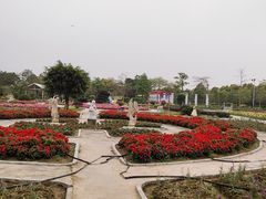 -广东花都香草世界旅游度假区