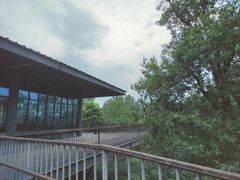 -白鹭湾湿地公园