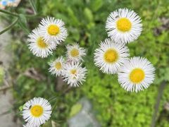 -国际非物质文化遗产博览园