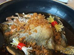 -芙蓉堂(武汉天地店)