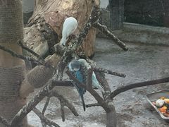 -青藏高原野生动物园