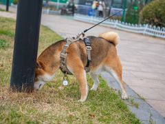 -唐岛湾公园