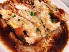 清蒸澳洲龙虾-徐记海鲜(大雁塔|金都店)