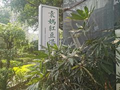 -袁妈红豆汤(重庆总店)