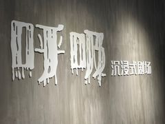 -呼吸沉浸式剧场(甘露园店)
