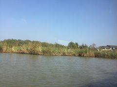 -长兴太湖图影湿地文化园