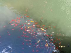 -十渡东湖港风景区