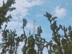 -西涌国际滨海旅游区