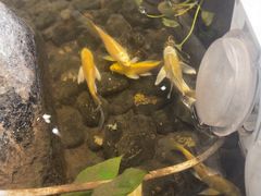 -湘芙蓉·湖南菜(椒江店)