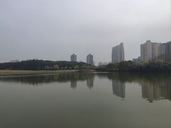 -黄兴公园