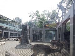 -西安秦岭野生动物园