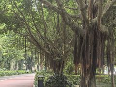 -南宁南湖公园